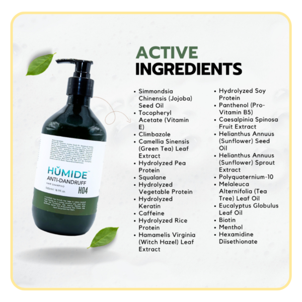 HUMIDE Anti-Dandruff Hair Shampoo | For Oily, Itchy & Combination Scalp (500 ml)
