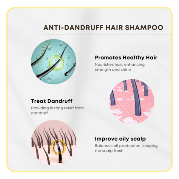 HUMIDE Anti-Dandruff Hair Shampoo | For Oily, Itchy & Combination Scalp (500 ml)
